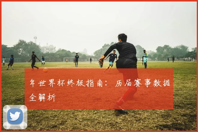 年世界杯终极指南：历届赛事数据全解析