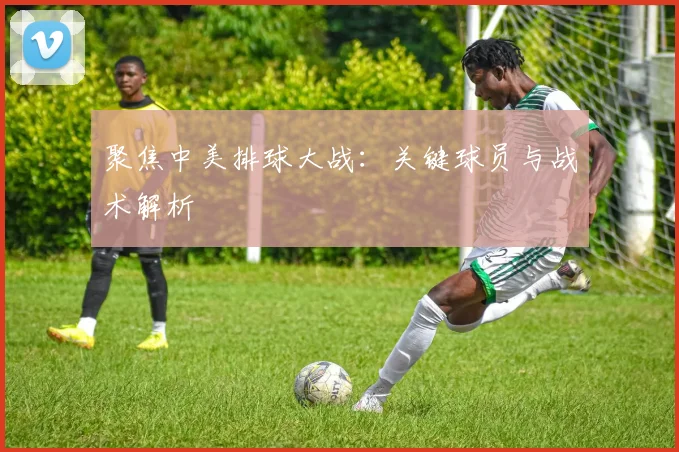 聚焦中美排球大战:关键球员与战术解析